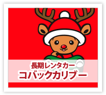 長期レンタカーコバックカリブー